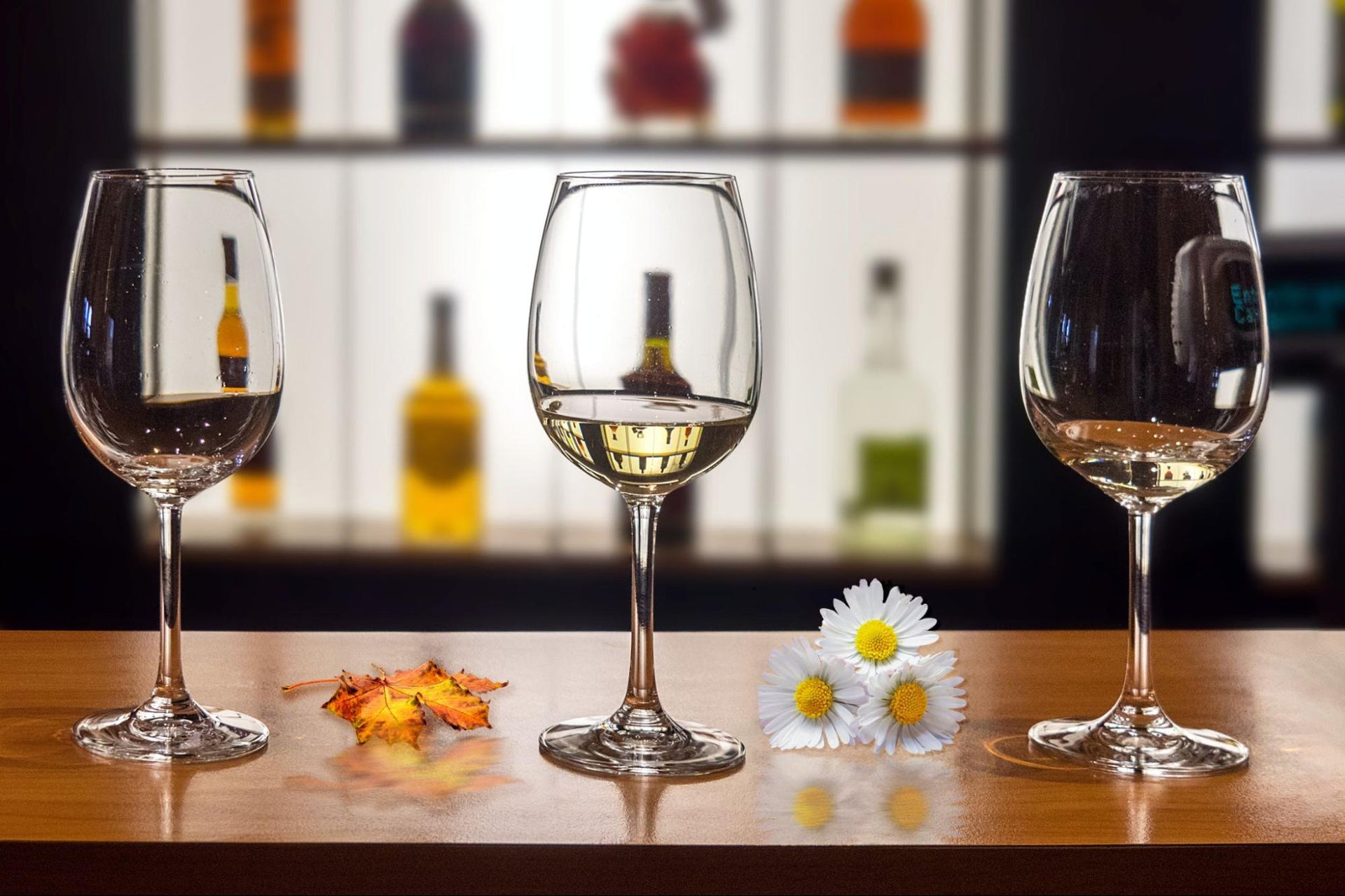 different types of wine glasses